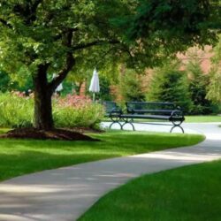 landscaping-norwood-5-1
