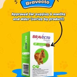 Flea-Tick-Prevention-for-Puppies-Bravecto