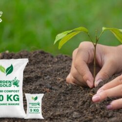 process of vermicompost