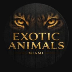 Exotic Animals Miami.jpg