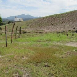 Property for Sale in Guayabitos
