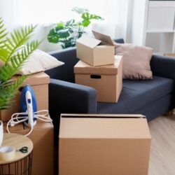 shutterstock_1782797138 (1)