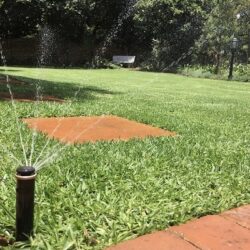 Grass sod cleanup services San Diego