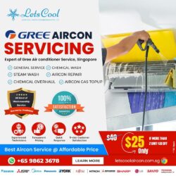 Gree Aircon Service