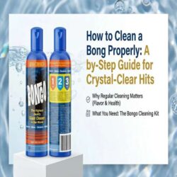 How to Clean a Bong Properly