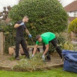 Snow White Gardeners - Garden Clearance Header (1)