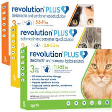 revolution for cats revolution for cats