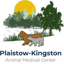 Kingston NH veterinarian, Plaistow vet, vet near me, animal hospital Kingston NH, southern NH vet, Animal hospital in Kingston (1)