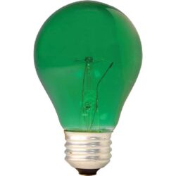 Decorative Incandescent Bulbs _ A19 Incandescent Light Bulb
