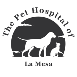 La Mesa veterinarian, vet near me, La Mesa vet, animal hospital La Mesa CA, pet hospital La Mesa, Veterinarian in La Mesa (1)