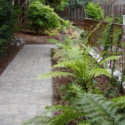 landscapes Contractor