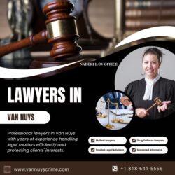Best Criminal Defense Lawyers