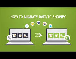 Shopify Migration Expert