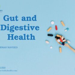 gut digestive
