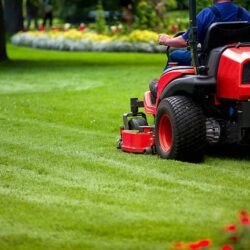Garden Maintenance Services