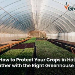 Greenhouse-Film-scaled_optimized_200