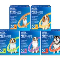 Nexgard Spectra for Dog