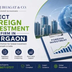 Direct Foreign Investment firm in Gurgaon