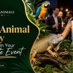 How an Exotic Animal Display Can Transform Your Corporate Event