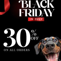 DPC-SMP-Black-Friday-Sale-July-2026