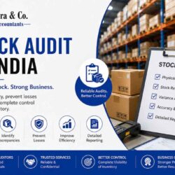 Stock Audit in india