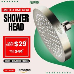 shower head Brush nickel