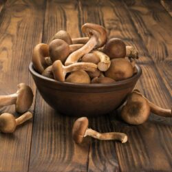 Milk Chocolate Mushroom