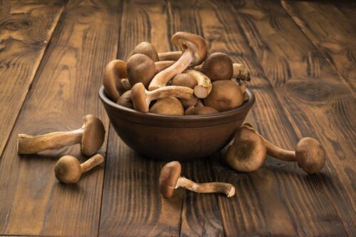 Milk Chocolate Mushroom Milk Chocolate Mushroom