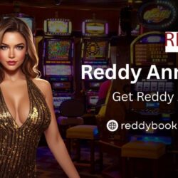 Reddy Anna ID pro