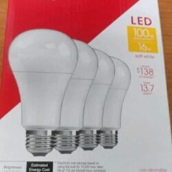 Bright LED Light Bulbs 100 Watt Equivalent  4-Pack