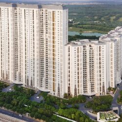 DLF The Camellias Gurgaon