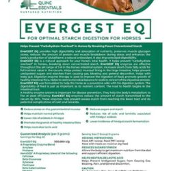 Natural Horse Supplements & Digestive Enzymes for Horses – Evergreen Equine