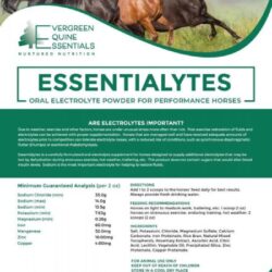 Essentialytes_ Premium Equine Electrolytes & Supplements – Evergreen Equine