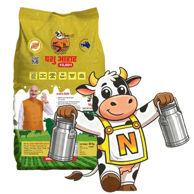 Advanced Cattle Animal Feed Supplement Advanced Cattle Animal Feed Supplement