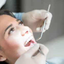 Holistic Dental Donvale (2)
