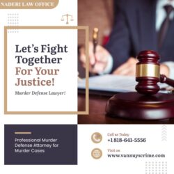 Murder Defense Lawyer
