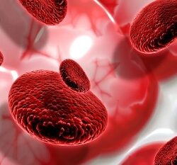 Haematology-banner_1
