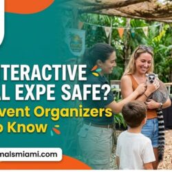 Are Interactive Animal Experiences Safe