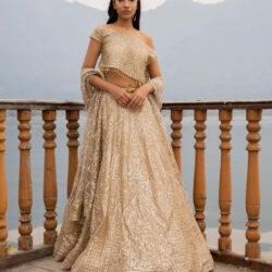 Bridal lehenga designs