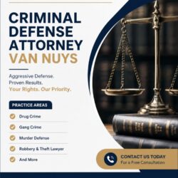 Professional Criminal Defense Attorney