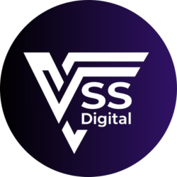 DP_-_VSS_Digital__400_X_400__-_1__1_-removebg-preview