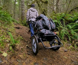 Traveling Cart Solutions