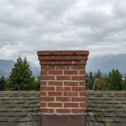 chimney inspection