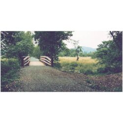 Spring Activities in the Catskill Mountains _ Weeping Willow Getaway