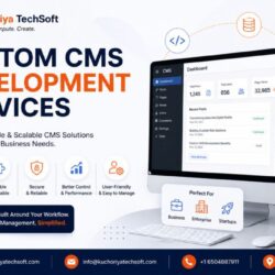 Custom CMS Development Services  CMS Development Company