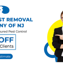 Pests of Spring
