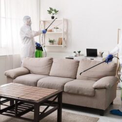 pest-management