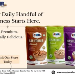 compressed_AMR NUTS & HAMPERS - Best Dry Fruits Shop in Noida (11)