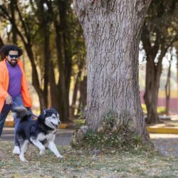 Dog Walkers in Visakhapatnam