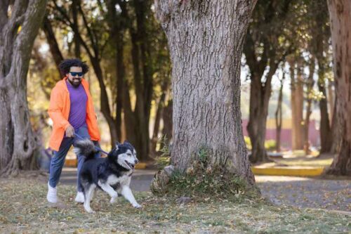 Dog Walkers in Visakhapatnam Dog Walkers in Visakhapatnam